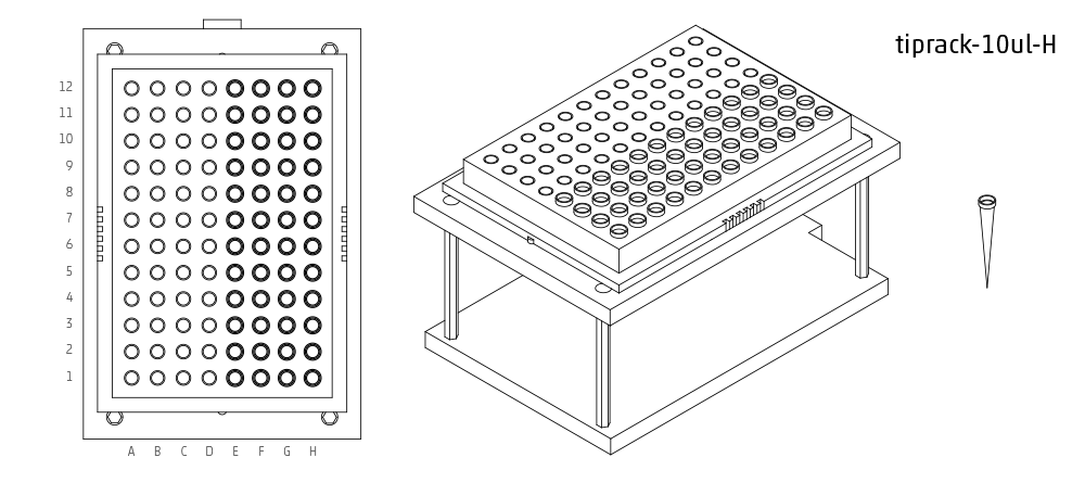 _images/Tiprack-10ul-H.png