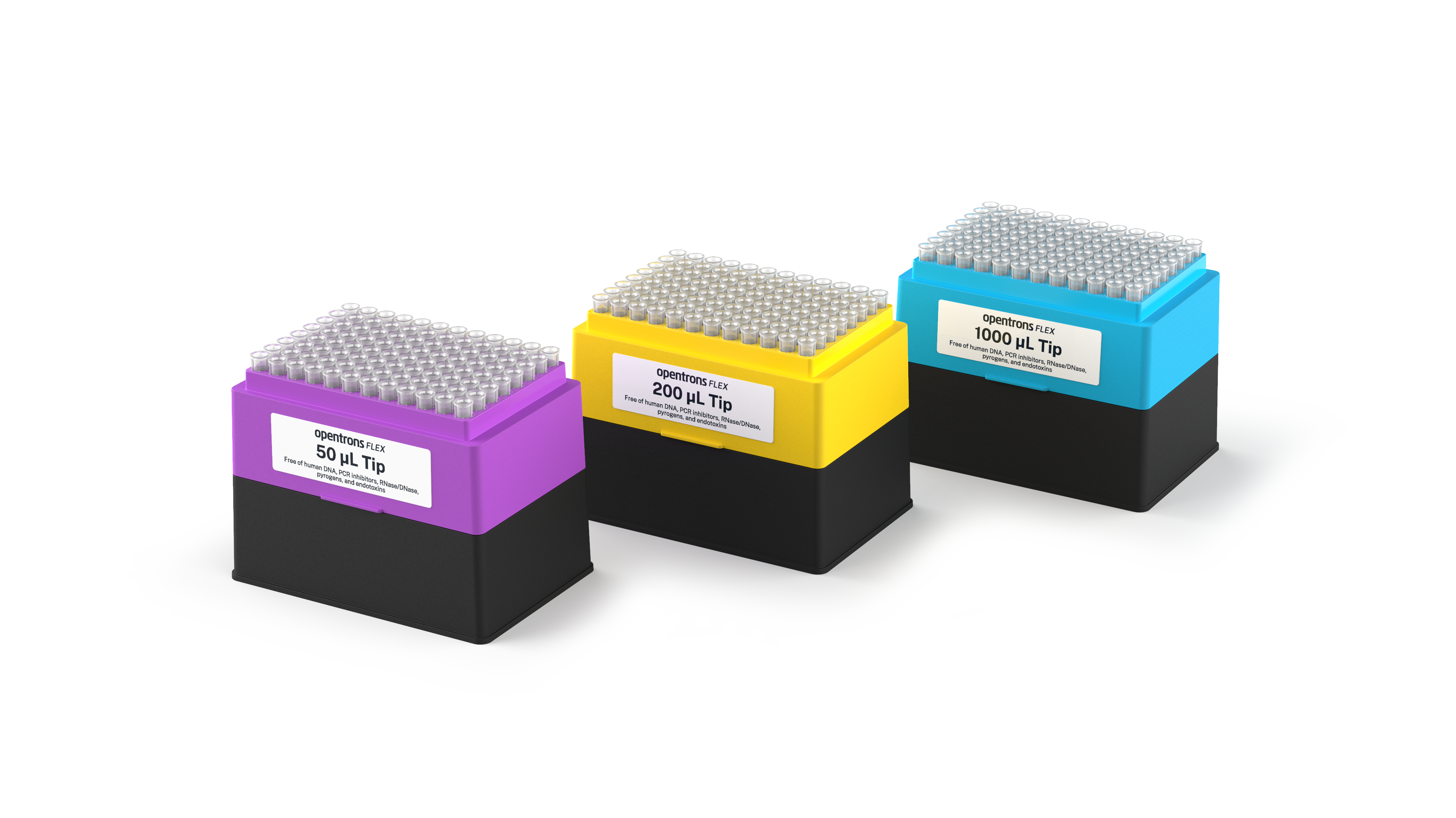 50 µL tip rack in magenta, 200 µL tip rack in yellow, and 1000 µL tip rack in blue.